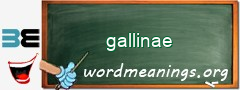 WordMeaning blackboard for gallinae